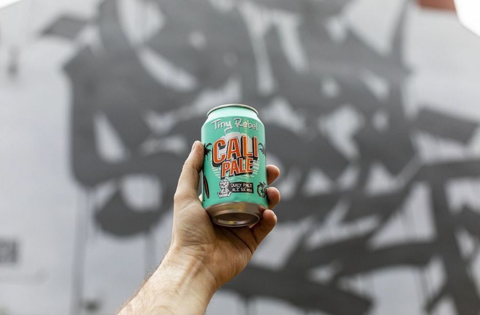 Tiny Rebel