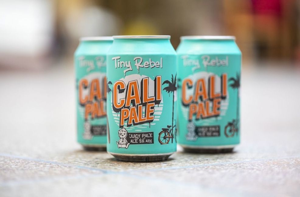 Tiny Rebel