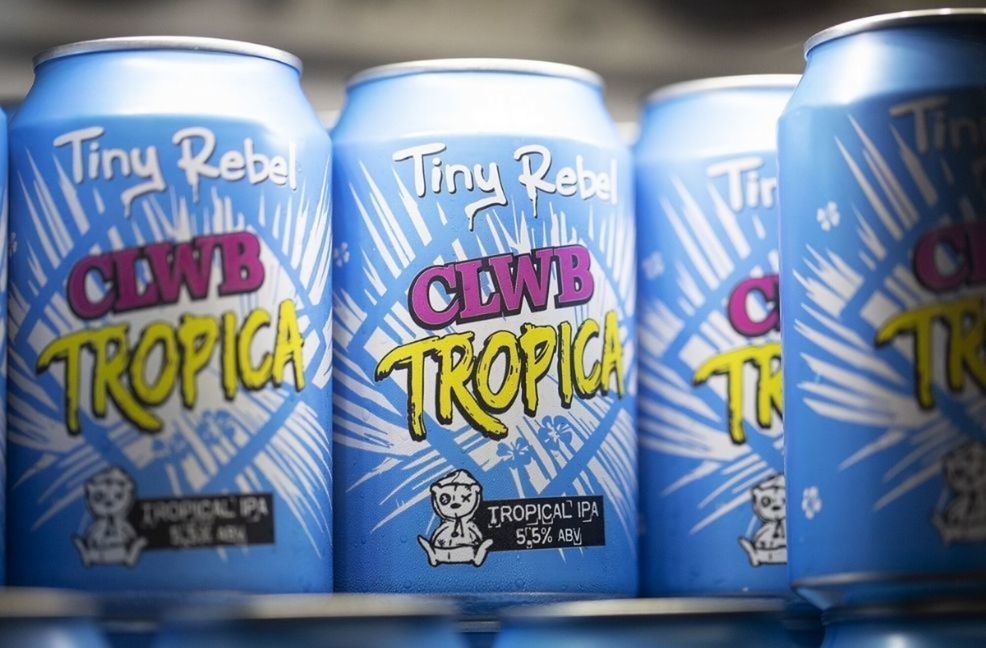 Tiny Rebel