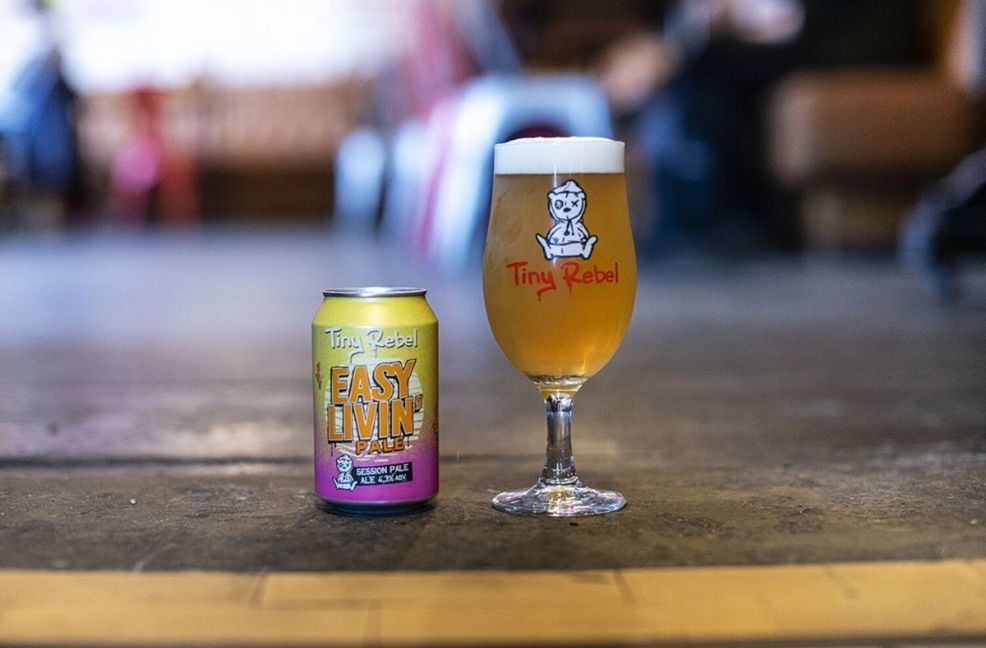 Tiny Rebel